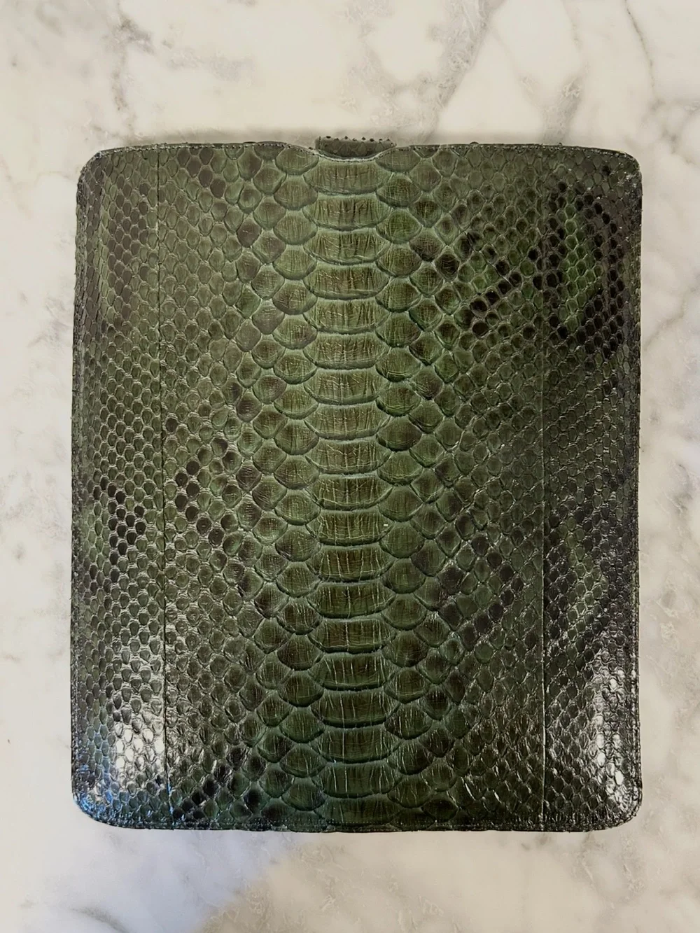 Snakeskin Tablet/iPad Case • Cavage